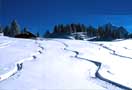 Destination - Geneva Airport Taxi to Les Houches