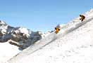 Airport driver to Flaine